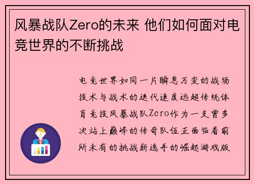 风暴战队Zero的未来 他们如何面对电竞世界的不断挑战