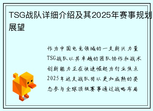 TSG战队详细介绍及其2025年赛事规划展望